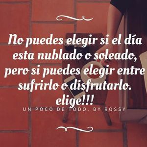 Meet your Posher, Liseth